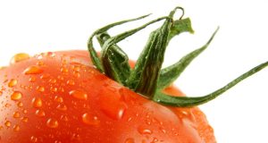 Allergie e il mondo biologico