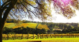 Dieta e nuovo cambio di stagione