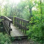 Programma Mindfulness