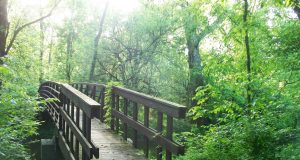 Il programma mindfulness di Bob Stahl e Elisa Goldstein (Essere Felici ed.)