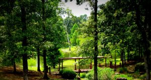 Rigenera le tue cellule