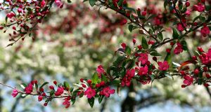 The turning point – La resilienza di Gregg Braden