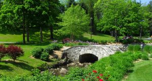 Le vostre storie di allergie