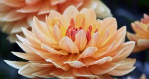 Allergie, stress e pilates