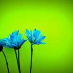 Dalla gabbia al cielo post: storie di respiri