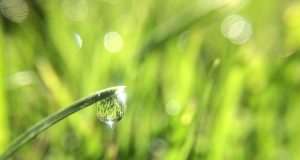 Risolvere le cinque ferite di Maria Rosa Finamò