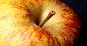 Curare la mente guarire il dolore di John E. Sarno