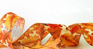 Coccole emotive per soggetti allergici