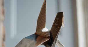 Allergie e voli pindarici