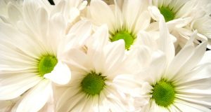 Allergie alimentari e dieta