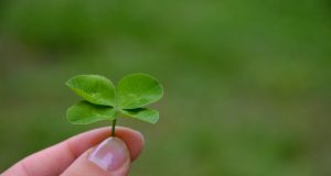 Stare meglio con le allergie