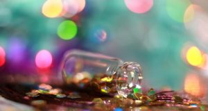 Il giardino d’inverno si colora di rosso natalizio