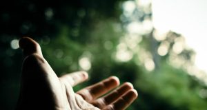 Allergie e circolare del Ministero della Salute del 25 marzo 2016