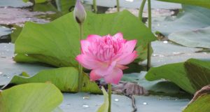 Nome e cognome delle mie allergie: un aggiornamento degli alimenti da evitare