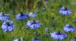 Con le mie allergie devo essere una consumatrice consapevole