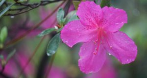 Etichette e allergeni