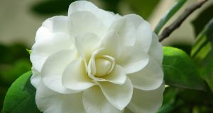 Allergie: la storia di intolleranze e reazioni allergiche di @sonoallergica