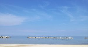 Pausa estiva per Vivere con le allergie