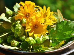 Allergia al nichel e prodotti per la cura del corpo