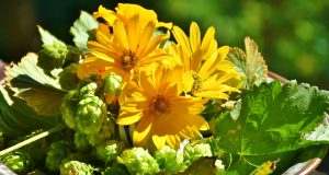 Allergia al nichel e prodotti per la cura del corpo