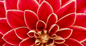 Allergie, il punto di svolta e un po’ di ottimismo