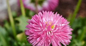 Allergie: Sonia di Vita senza nickel