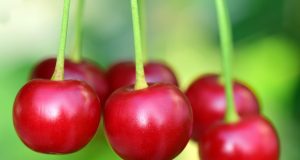 Vivere con le allergie e l’effetto Covid-19