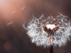 Allergie e un anno da dimenticare