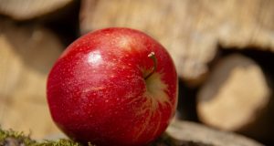 Vivere con le allergie e la prima inoculazione del vaccino Covid-19