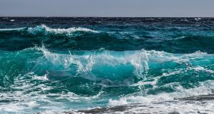 Pausa estiva (non per le allergie)