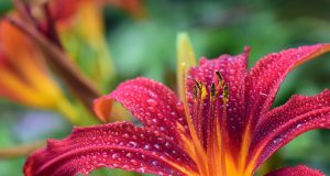 La prima visita allergologica