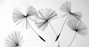 Allergie e vivere con la paura