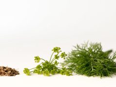 Ortaggi e verdure a più basso contenuto di nichel