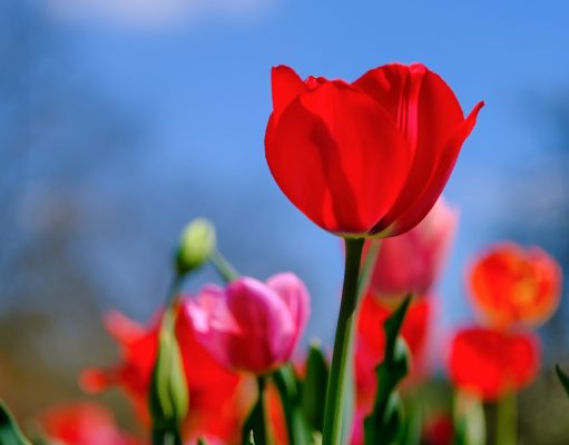 Allergie da contatto e i prodotti per la pelle a cui si può rinunciare
